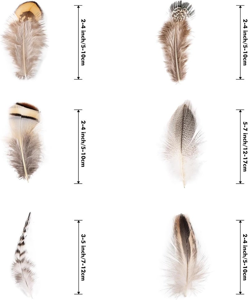 Daieeparty 180pcs Small Pheasant Feathers 6 Style Mixed Feathers Natural Feathers for Crafting Wedding Dream Catcher Hats Decoration - Image 2
